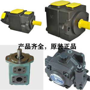 <a href='http://mzcollege.com' target='_blank'><u>YUKEN叶片泵</u></a>
